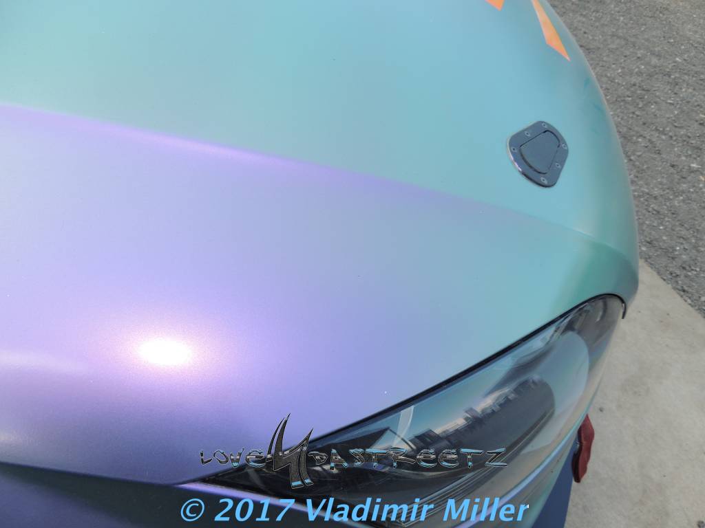 DSCN4104